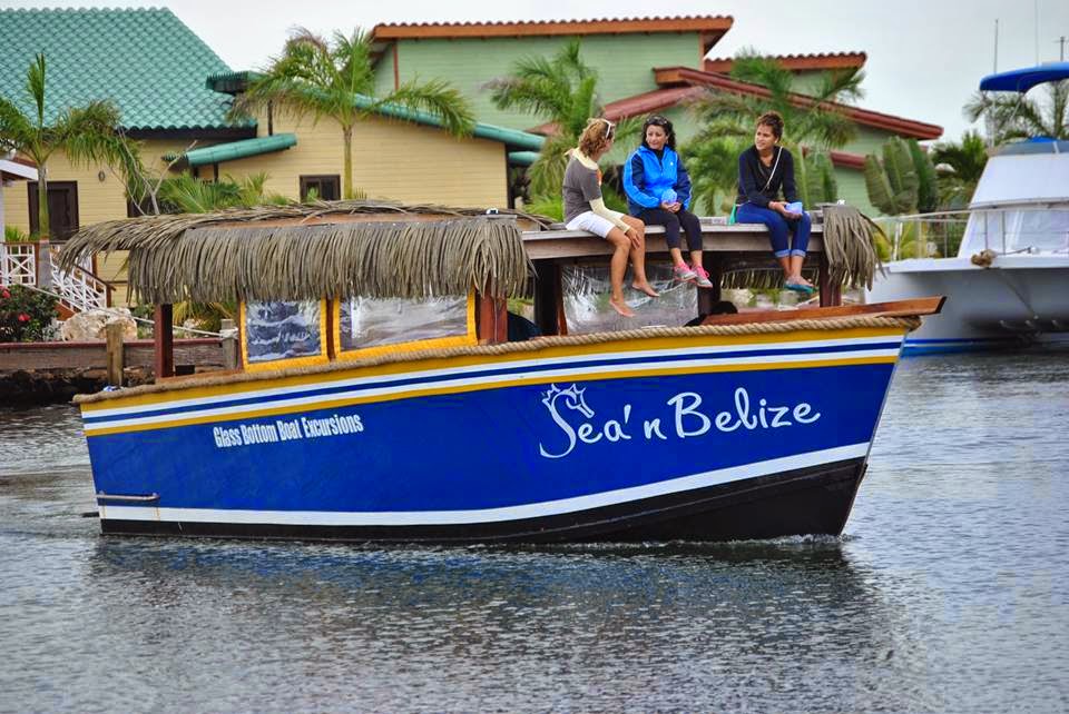 Remax Vip Belize: Glass Bottom Boat Excursive