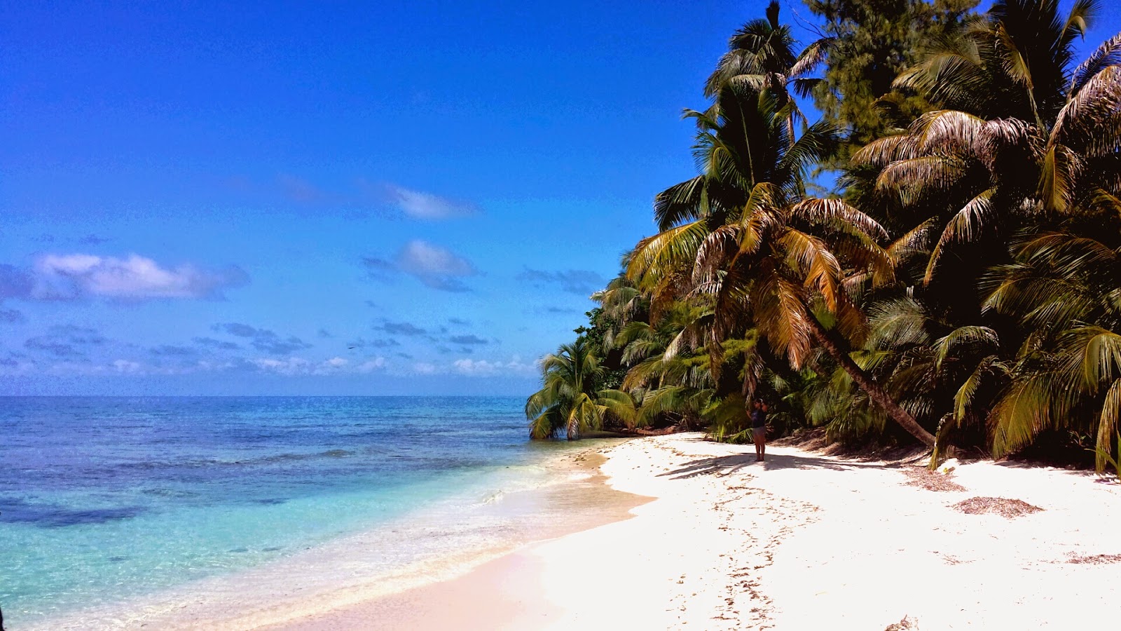 Remax Vip Belize: Belize Island Beach