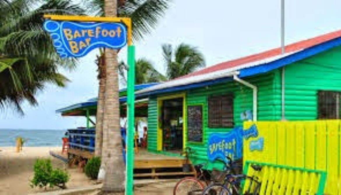 Remax Vip Belize : Barefoot Bar