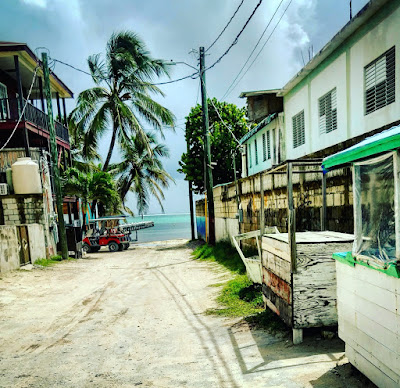 Remax Vip Belize : our own Chris Appelbe