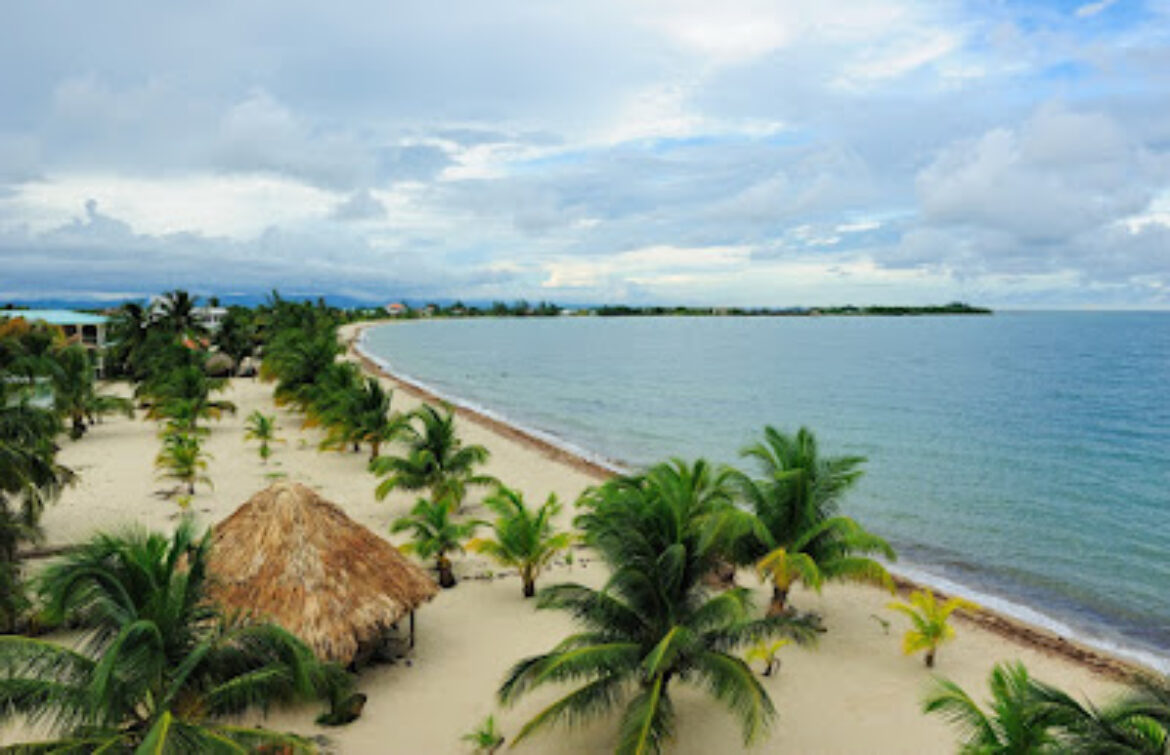 Remax Vip Belize: Land at Local Prices