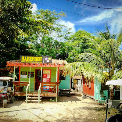 Remax Vip Belize: Barefoot