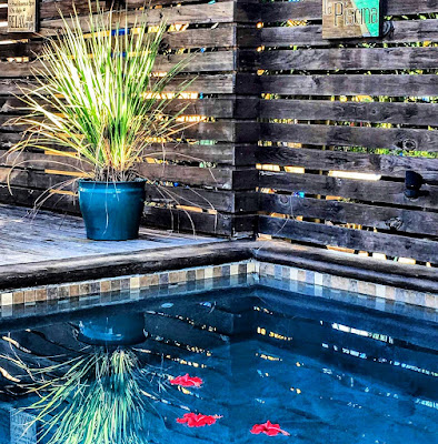 Remax Vip Belize: Spectacular couple weeks for Belize