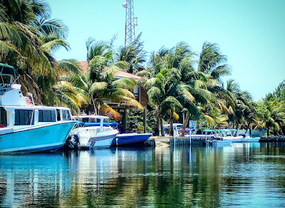 Remax Vip Belize: Looking to have a unique