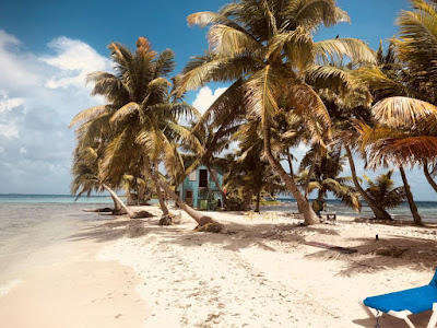 Remaxvipbelize - Placencia