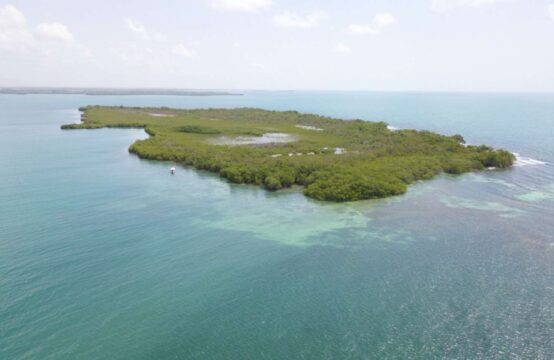 38 Acre Caye near Placencia