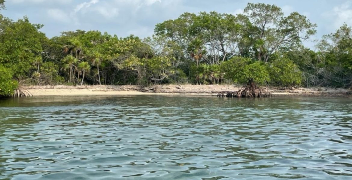 2 Acre Lot on Rocky Point Island