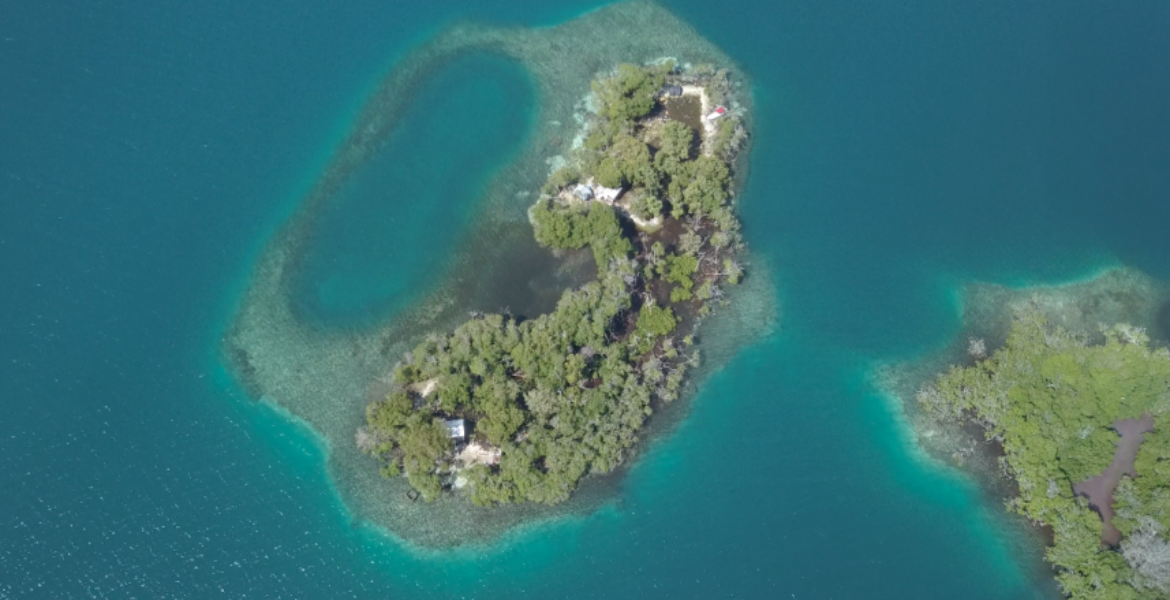 Own a private tropical island!