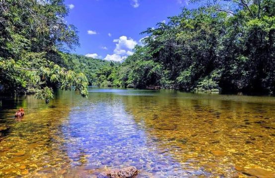 Remax Vip Belize: River