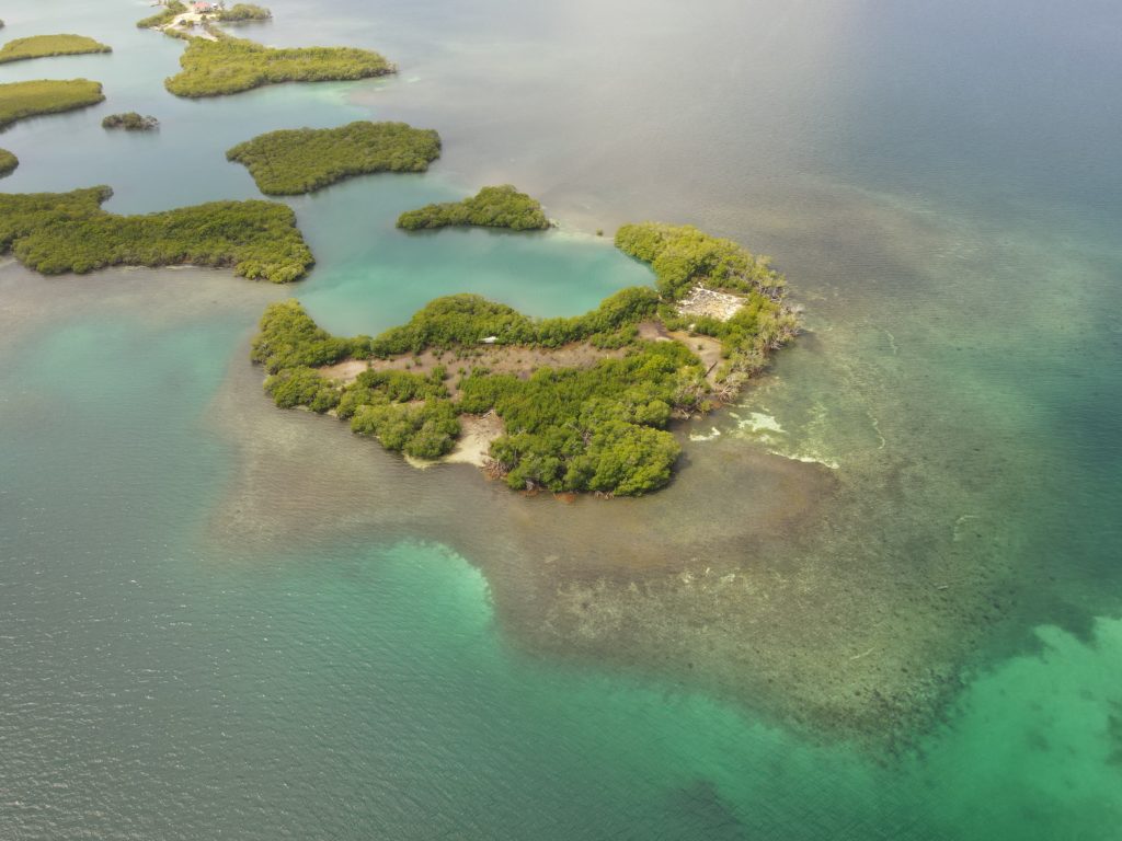 1.2 Acre Island Off Hopkins — Remax VIP Belize