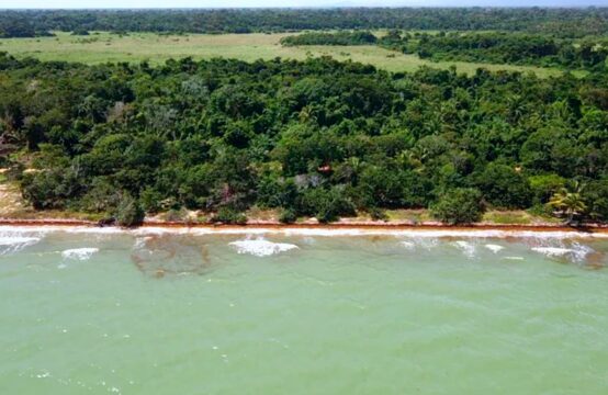 Remax Vip Belize: one of a kind beachfront lot in mayacan