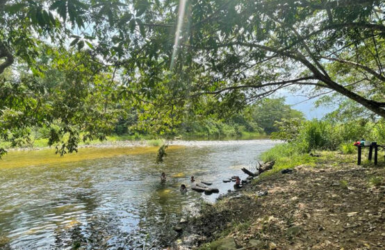 Fertile Farm on the Swasey River