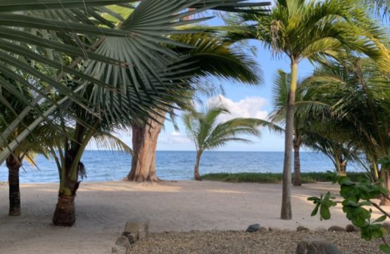 Beachfront Condo Revenue Opportunity in Maya Beach from $209K