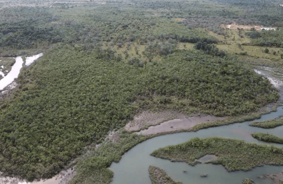 Remax Vip Belize: belize-land-for-sale