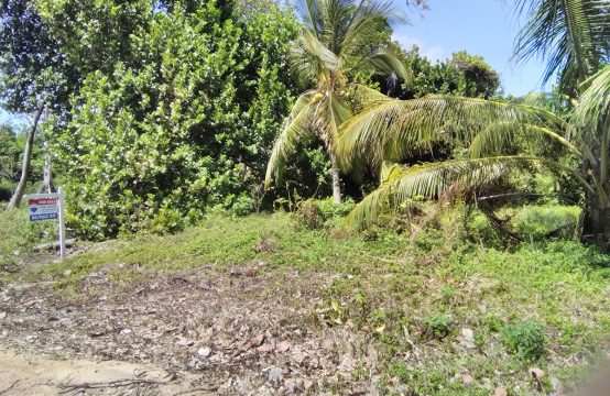 Remax Vip Belize: view of lots and sign