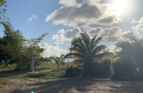 Lagoon View Lot Just Listed in Ceiba Beach Residences