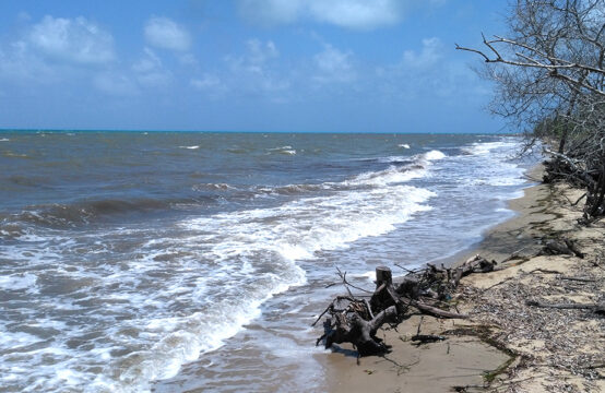 Remax Vip Belize: beach looking south