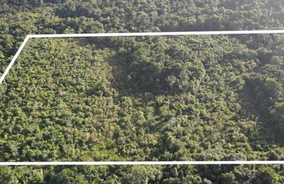 30 Acres of Farmland located in Mayan Community