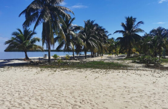 Beachfront Lot in the heart of Placencia Village