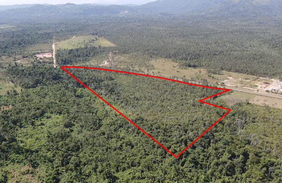 22 Acre Jungle Parcel on the Southern Highway