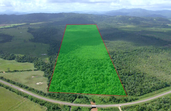 131 Acres of Rich Jungle on the Southern Highway