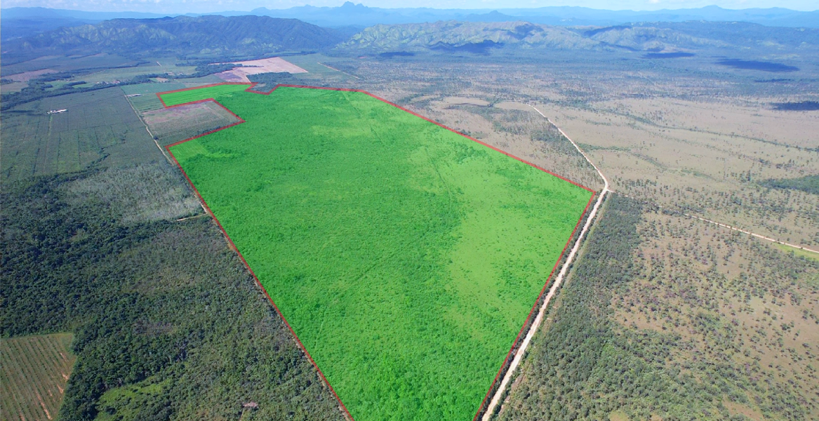 878 Acres of Fertile Farmland on the Southern Highway