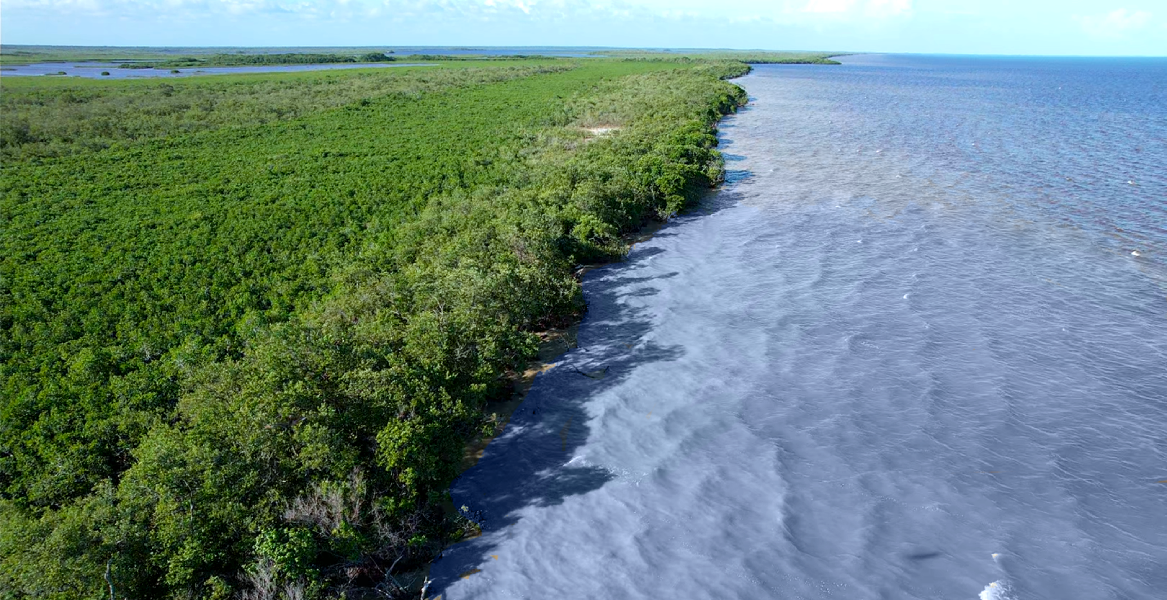 Now's the best time to buy a farm in Belize. Our team is excited to offer for sale these 4000 acres of Belizean waterfront farmland. Contact us!