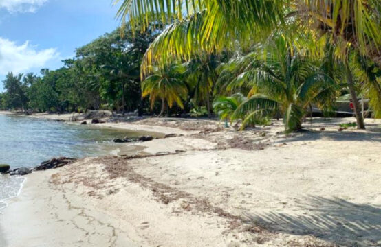 5 Lot Special! 1 Beachfront and 4 Adjacent Lots near Placencia Airport