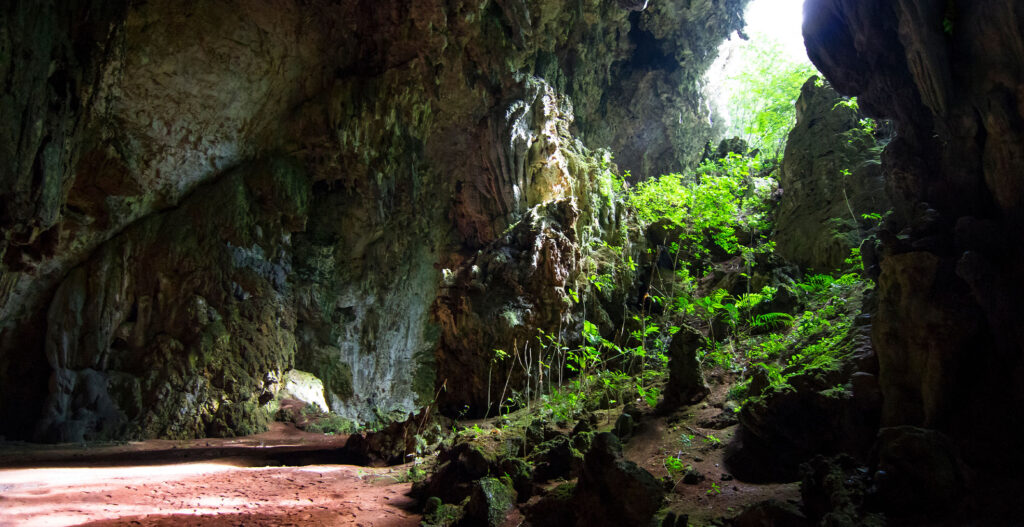 Cave 2 1