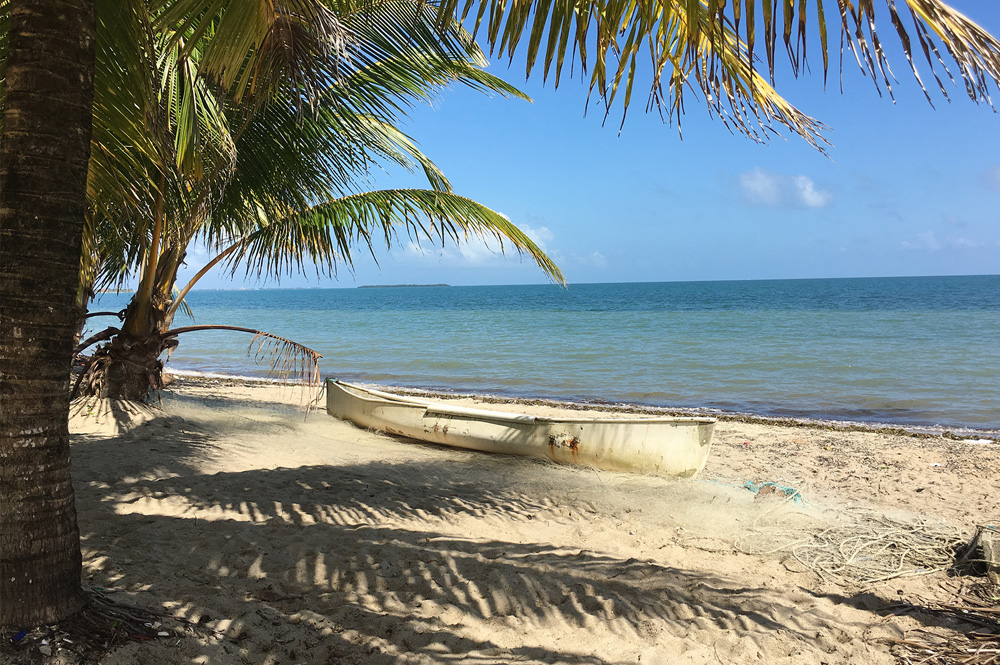 Belize beachfront property for sale by ReMAX VIP. More than 20 years of experience selling beachfront properties in Belize.