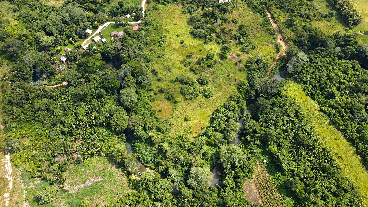 Jungle parcels in Belize for sale. With over 20 years of experience in Belize real estate, our experts are ready to help you find that Belizean jungle lot you've been looking for.