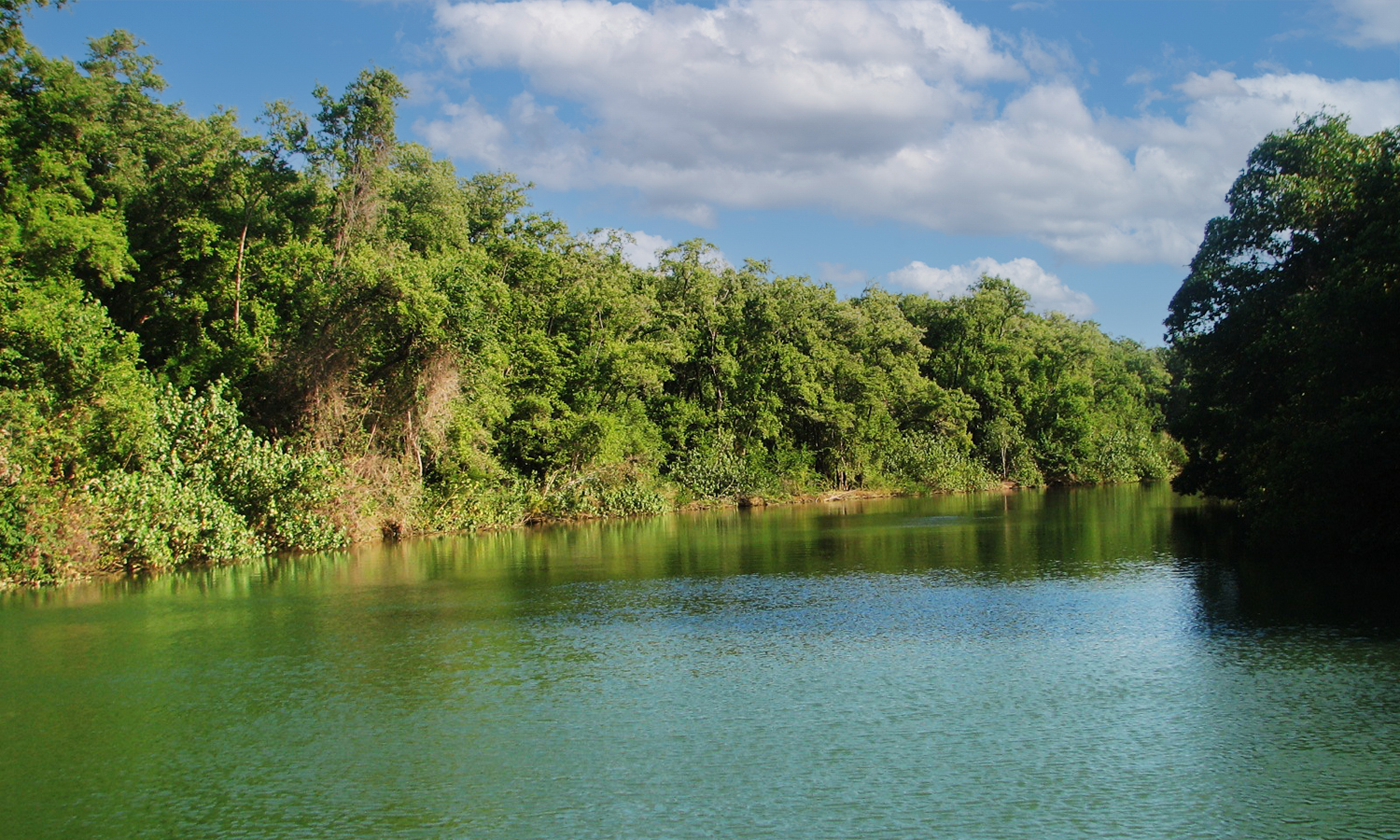 Belize Land for sale — River picture in the Cayo district.