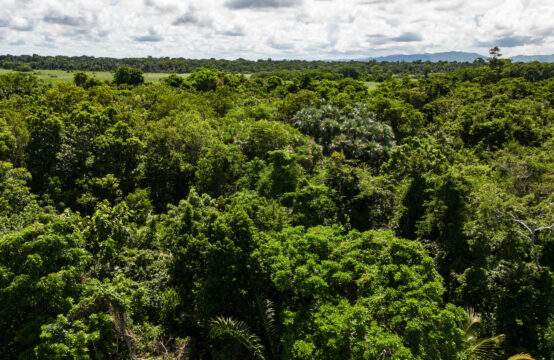 Jungle Property in Mayacan