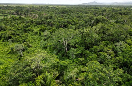 Jungle Lot in Mayacan