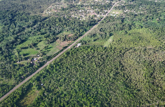 40 Acres on Belize&#8217;s Southern Highway