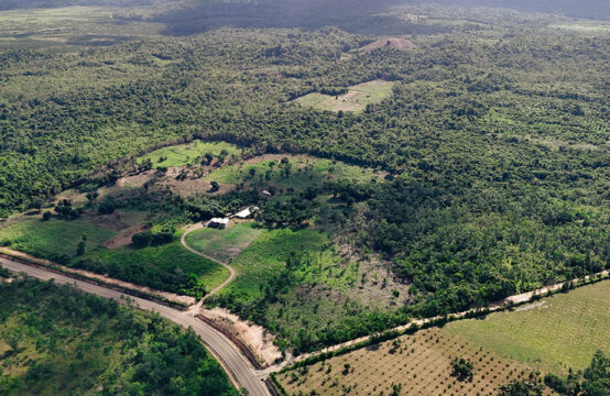 Belizean land for sale - Jungle lot on the coastal road