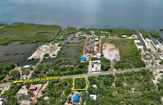 Affordable roadside lot 2 minutes from the beach in Placencia