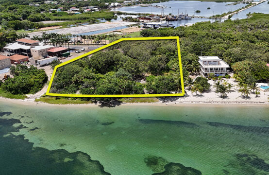 One of the only remaining road and beachfront lots in Placencia.