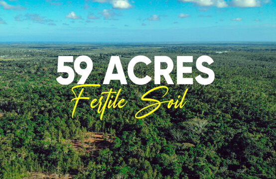 59 acres of farmland or jungle retreat, build your own Belizean adventure!