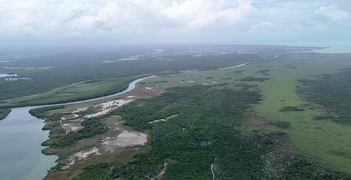 20 Acres of farmland in Corozal for sale