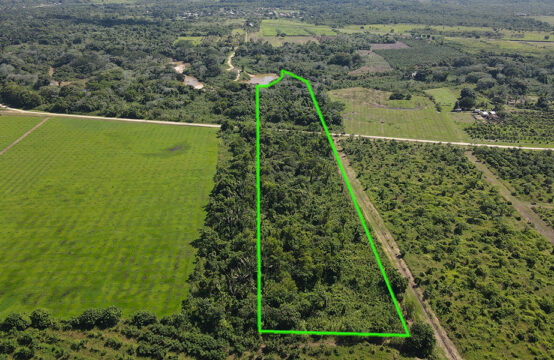 Outline of the 11 acres for sale near Sarawina