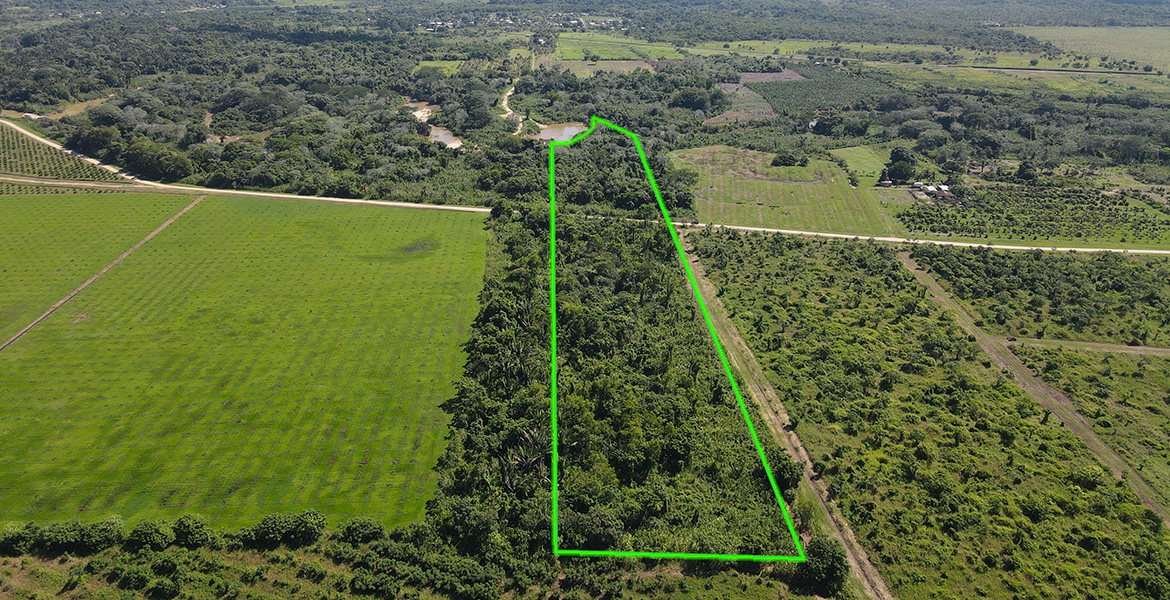 Outline of the 11 acres for sale near Sarawina