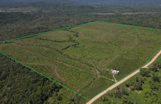 Income generating parcel in Belize