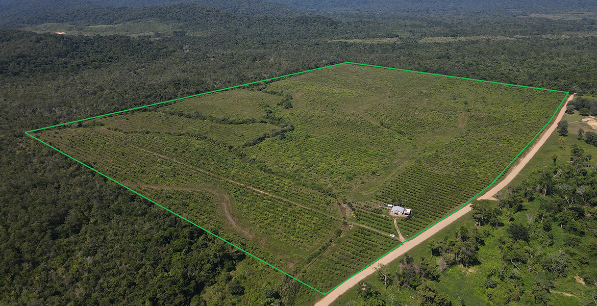 Income generating parcel in Belize