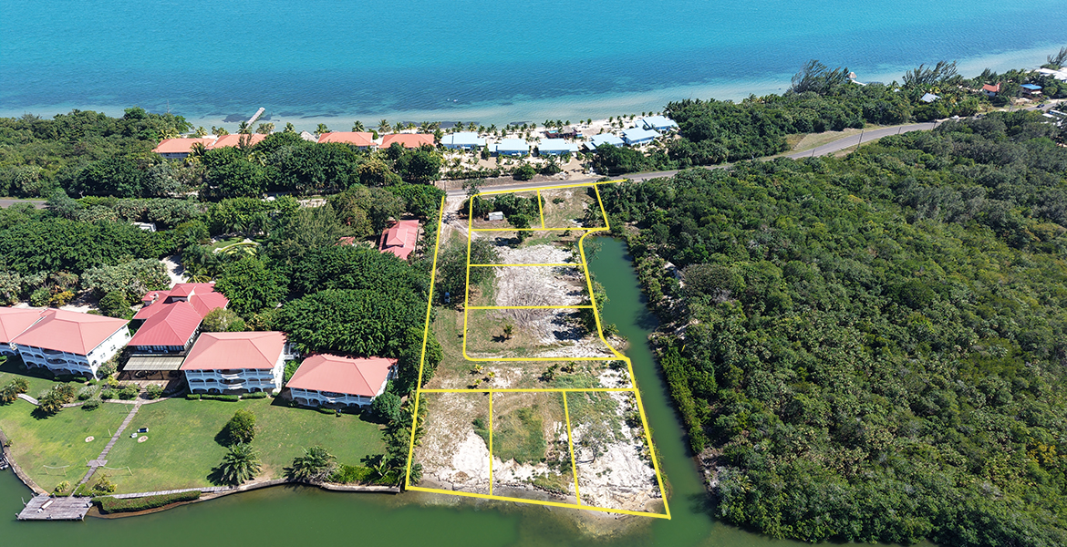 Proposed subdivision for Elvis Chow lane