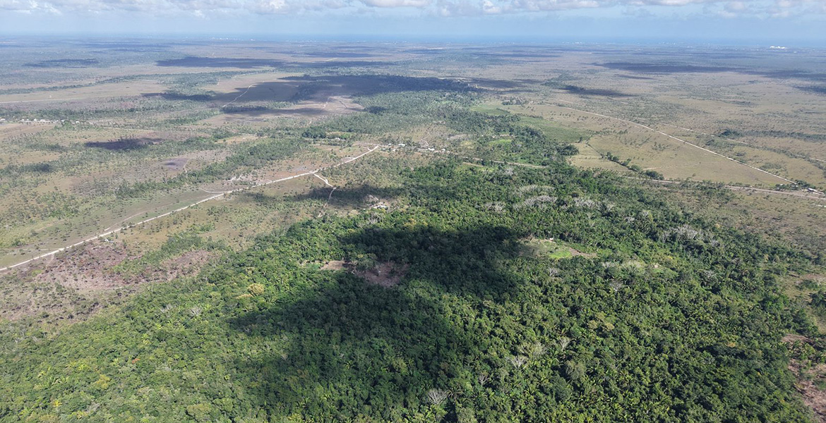 Aerial view of all four properties on Jenkins Creek