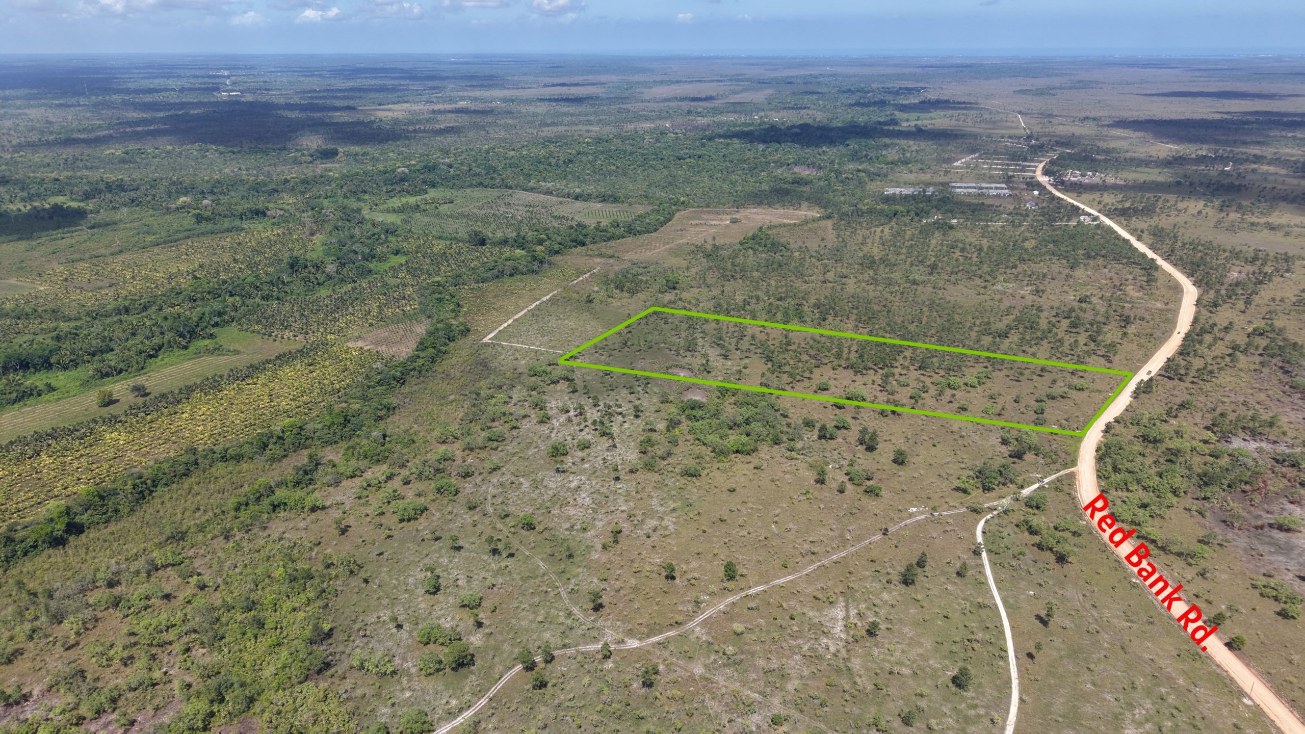 12.05 Acres of Scenic Land Opportunity near Red Bank Village Road