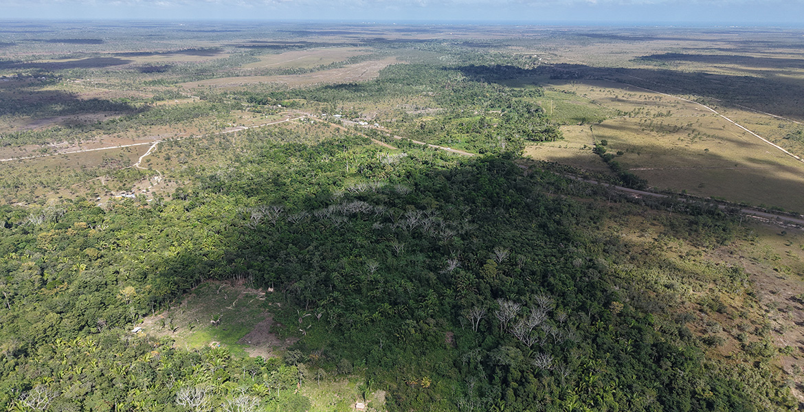 Red Bank Village road property