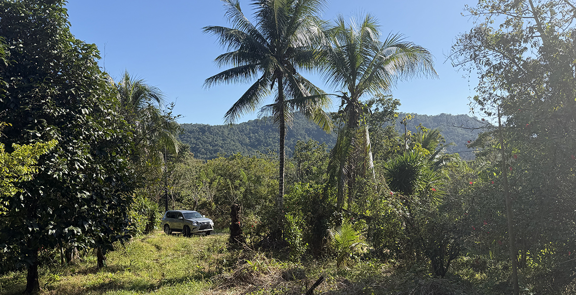 Property in Steadfast, Stann Creek