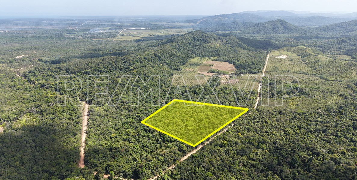 Mayflower property for sale